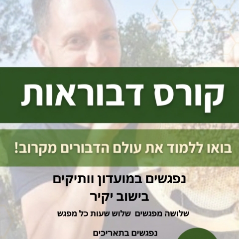 שאלון ארצי למקבלי שירותי רווחה ומשפחותיהם